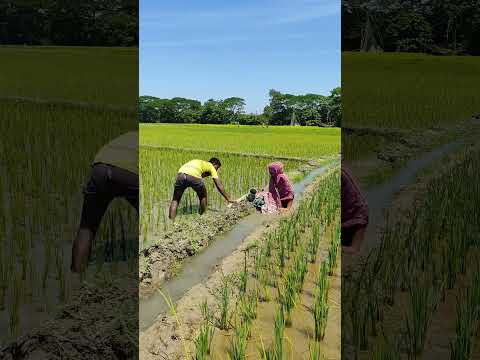 #new #ekmotahathighumechala #funny #whowillbemylifepartnerta #comedyfilms #foryou