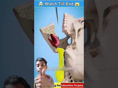 जादूगर 🦸🌪️ #facts #3danimation #doctor #science #knowledge #funny #cartoon #animation #3d