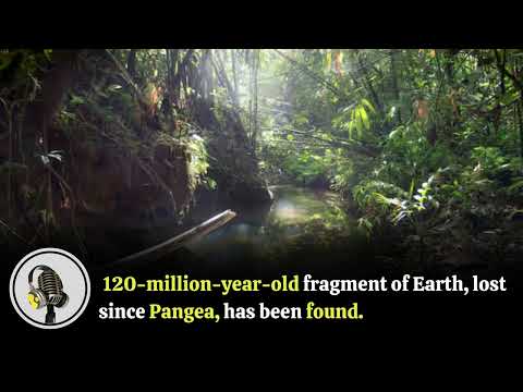 120-million-year-old fragment of Earth, lost since Pangen, has been found
