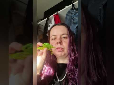 #brighton #halloween #music #google #onthisday #lookback #history #memorylane #nostalgia #kids