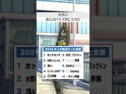 小魚界の流行語って？🤔 #ストリートクイズ #魚 #小魚
