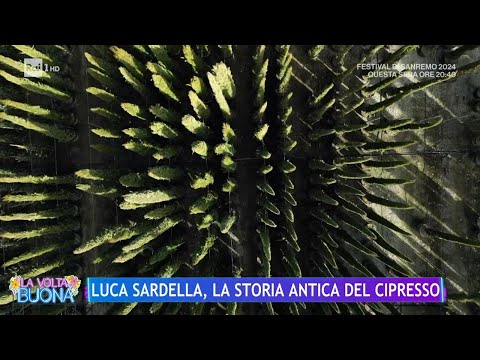 Luca Sardella, la storia antica del Cipresso - La Volta Buona 08/02/2024