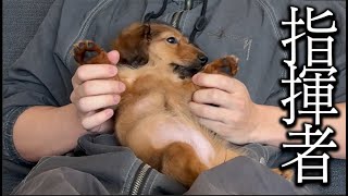 動画サムネイル