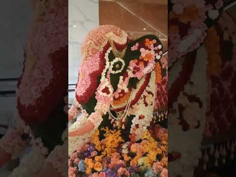 🥰Cutest Baby 🐘❤️#shorts#ytshorts#youtubeshorts#viral#reels#shortsfeed#explore#tiktok#song#trending