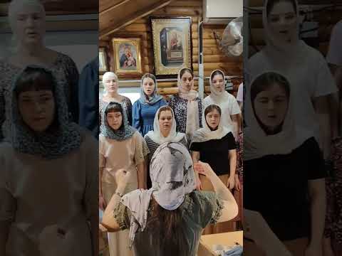 Аллилуйя глас 7#хор_радуйся #упц #клирос #церковний