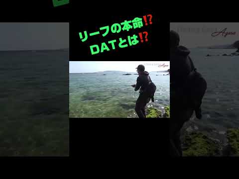 リーフの本命⁉️DATとは‼️