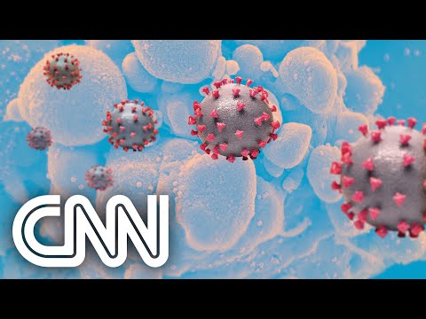 Rio de Janeiro identifica nova variante do coronavírus | EXPRESSO CNN