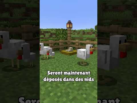 marre des Œufs(egg) ?