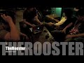 MV เพลง สถานการณ์ - The Rooster