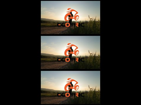 Wait，do you try ecotric elelctric bike enjoy a sightseeing tour?