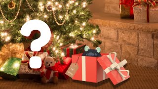 A Sassy Lost... Gift? 🎁