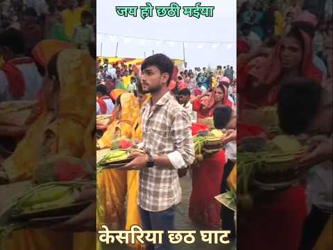 जय हो छठी मईया। #video #viralvideo #tarending #reels #bhojpuri #song #chathpuja