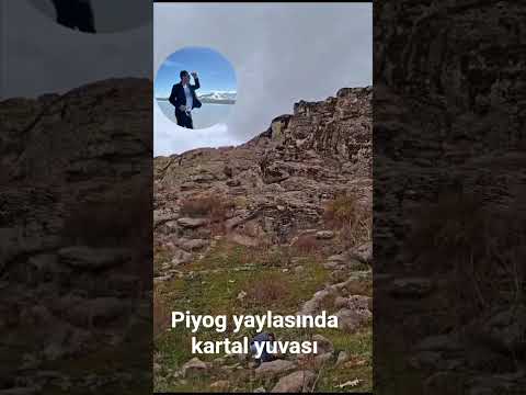 piyong yaylası #kartal #kartalyuvası #muş #bulanık #nature #gezginler #gezgin #dağcılık #kamp
