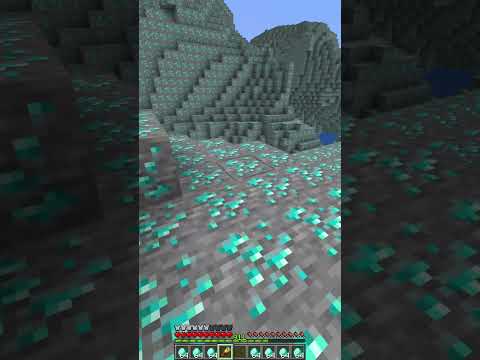 Minecraft Coal Meme🤯