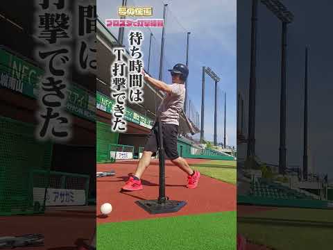 【憧れの舞台】プロ野球の球場で、まさかのフリーバッティング体験をしてきた！ #shorts