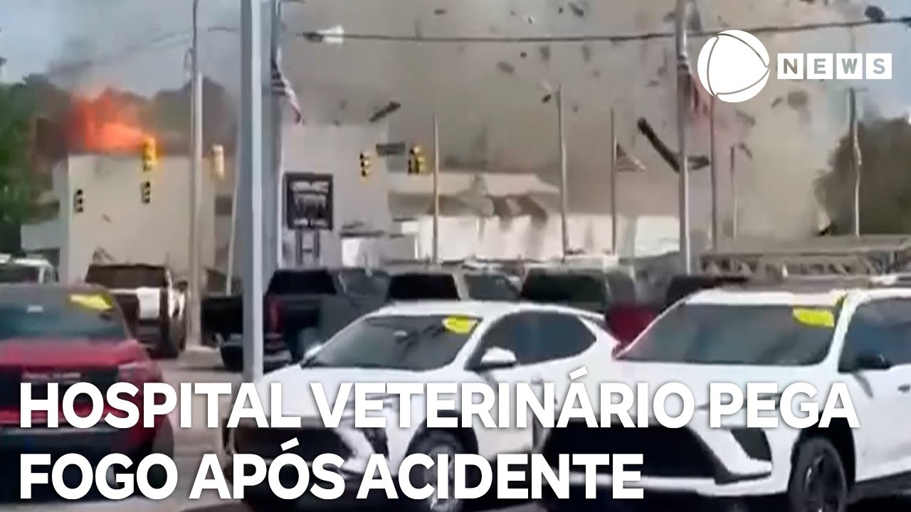 Hospital veterinário pega fogo após acidente com carro