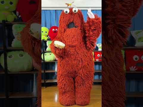 猫の動画サムネイル - タンバリンチャレンジ #shorts #ムック #チャレンジ #タンバリンチャレンジ #企画 #挑戦