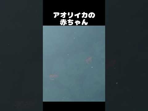 thumbnail_GtOLkykKdG4