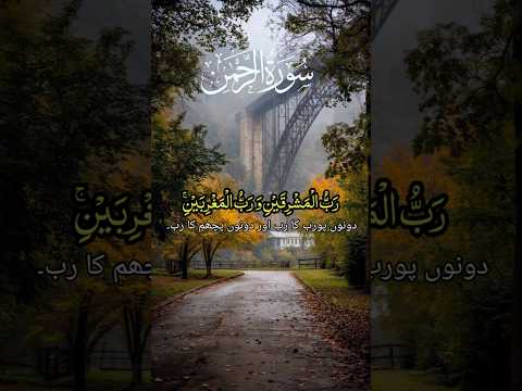 سورۃ الرحمن ایت نمبر 17/18 کی تلاوت قرآن #islamicshorts #foryou #surah #viralvideo #viralshorts #