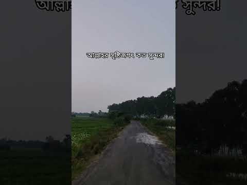 সুবহানাল্লাহ #shorts #islamicshorts #nature #quranrecitation