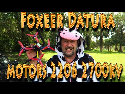 Review: Foxeer Datura Motors 2206 2700kv maiden flight!!! (10.25.2017) - UC18kdQSMwpr81ZYR-QRNiDg