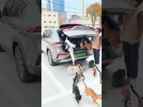 산에 있는 애들 불쌍해서 데려왔어