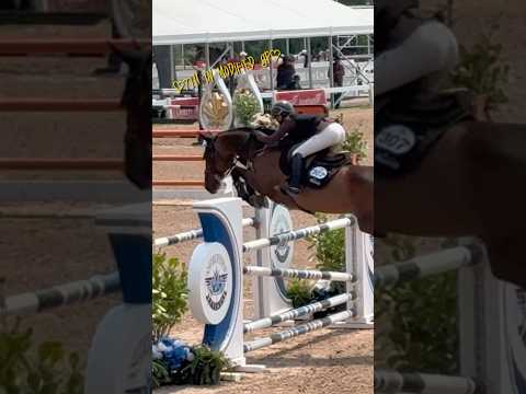 Lots of rides today & so much fun 🥰💜 #horse #horseshow #equestrian #showjumping