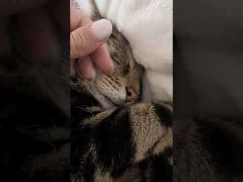 Programme du jour : ne rien faire ✅