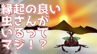 新年あけましておめでとうございます[Vカブトムシの虫語り 第5回][018匹目]