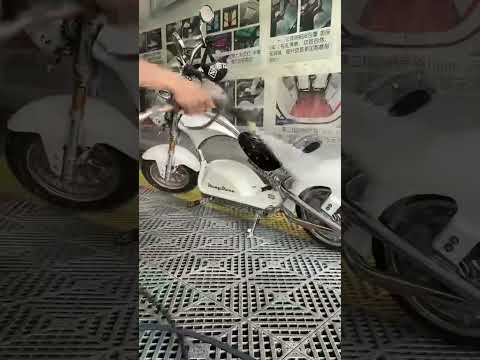 Rooder mangosteen electric motorcycle for sale +8613632905138