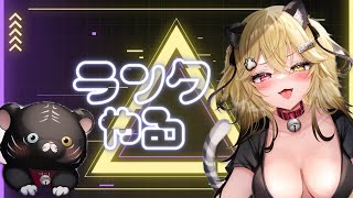 apex!!