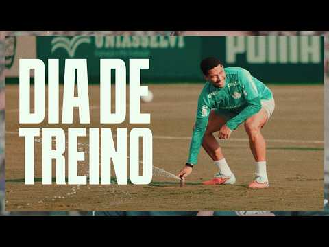 image para ilustrar o artigo