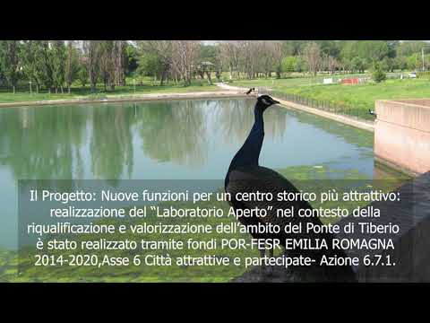 video promozione del comune di Rimini
