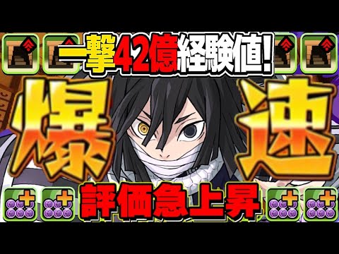30分で100億経験値！最新版爆速伊黒12億コロシアム編成がヤバすぎる【パズドラ】