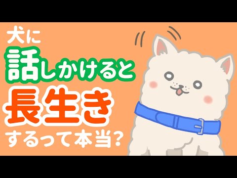 犬に話しかけると長生きに!?声かけ効果と絶対ダメなNG言葉