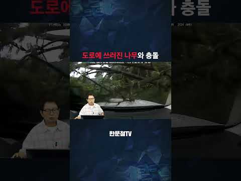 <strong>누가</strong> 더 잘못일까요?