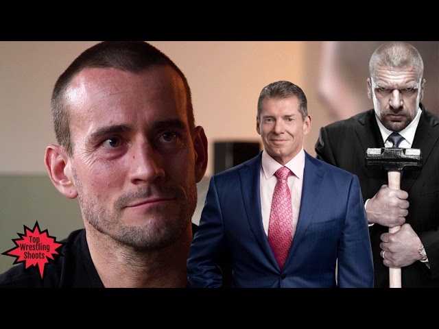 What Year Did CM Punk Leave WWE?