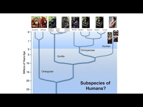 CARTA: The Origin of Us -- Michael Hammer: Interbreeding with Archaic Humans in Africa - UCh6KFtW4a4Ozr81GI1cxaBQ