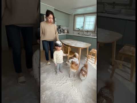 밀가루 범벅! 누가 그랬어 얘네 둘이요!!