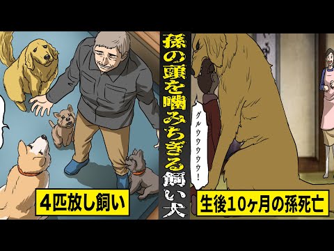 【実話】しっかり躾けたはずの飼い犬が...生後１０ヶ月の孫の頭を噛みちぎる。犬を放し飼いにした老夫婦の末路。