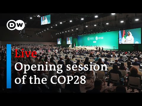 COP28 live: World Climate Action Summit live in Dubai | DW News