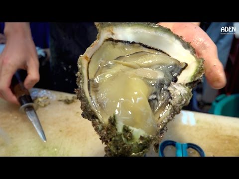 Japanese Street Food: Giant Oysters - UCu9g5OmzcCpcJnmSYyHnIVw