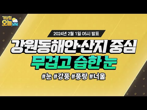 [오늘날씨] 강원동해안·산지 중심 무겁고 습한 눈. 2월 1일 5시 기준