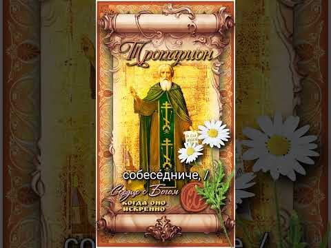 27 июля Прп. Стефан Махрищский (1406г)