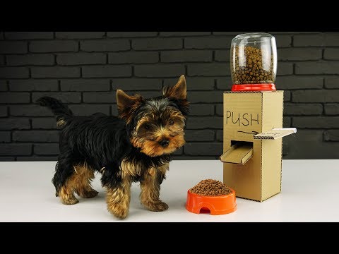 DIY Puppy Dog Food Dispenser from Cardboard at Home - UCZdGJgHbmqQcVZaJCkqDRwg