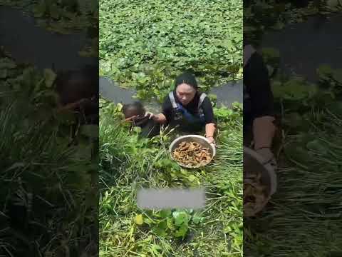 Woman rescues husband who collapsed from heatstroke and fell into the water while working