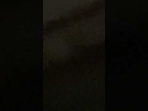 ngày 10 tháng 10, 2025