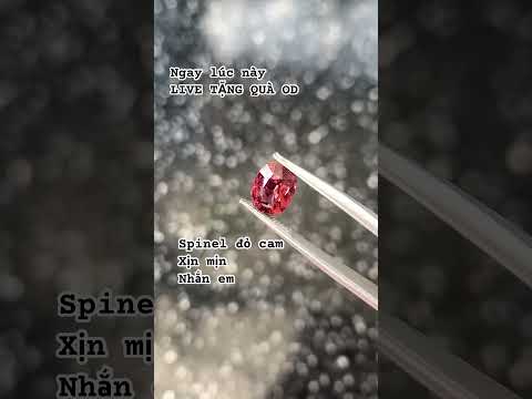 HÀNG ĐẸP VIP #daquy #jewelry