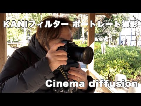 KANI CDFフィルターの使用レポート