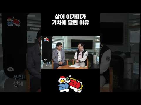 기차에 상어 <strong>아가미가</strong> 달린 이유